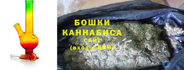 гидра Белокуриха