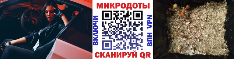 Купить где  Суджа  Галлюциногенные грибы GOLDEN TEACHER 